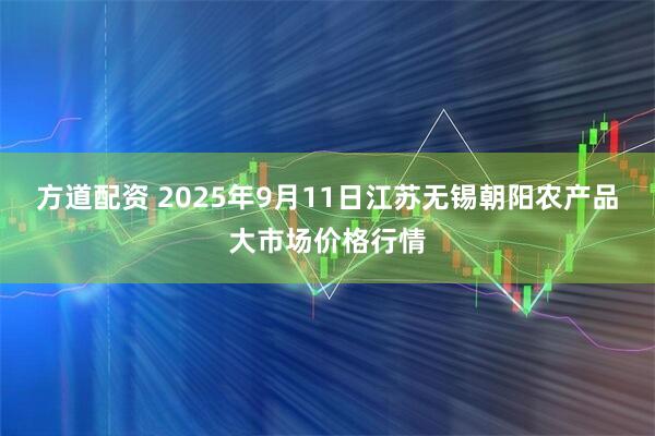 方道配资 2025年9月11日江苏无锡朝阳农产品大市场价格行情