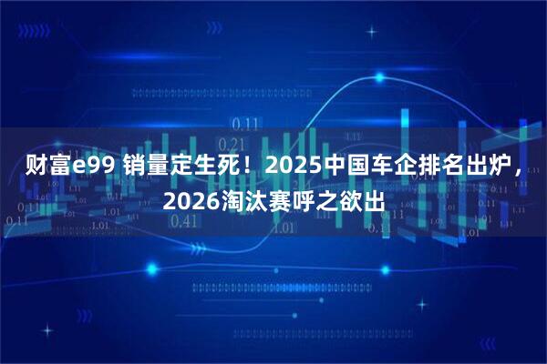 财富e99 销量定生死！2025中国车企排名出炉，2026淘汰赛呼之欲出