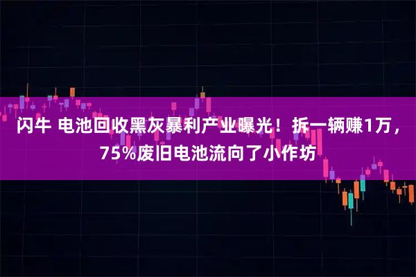 闪牛 电池回收黑灰暴利产业曝光！拆一辆赚1万，75%废旧电池流向了小作坊