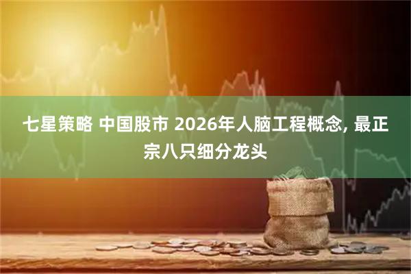 七星策略 中国股市 2026年人脑工程概念, 最正宗八只细分龙头