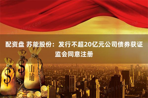 配资盘 苏能股份：发行不超20亿元公司债券获证监会同意注册